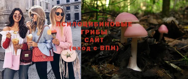 Галлюциногенные грибы Magic Shrooms  где купить наркоту  blacksprut как зайти  Алушта 